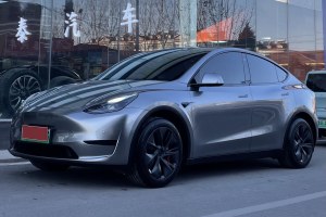 Model 3 特斯拉 煥新版 后輪驅(qū)動