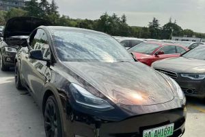 Model 3 特斯拉 Performance高性能全輪驅(qū)動版