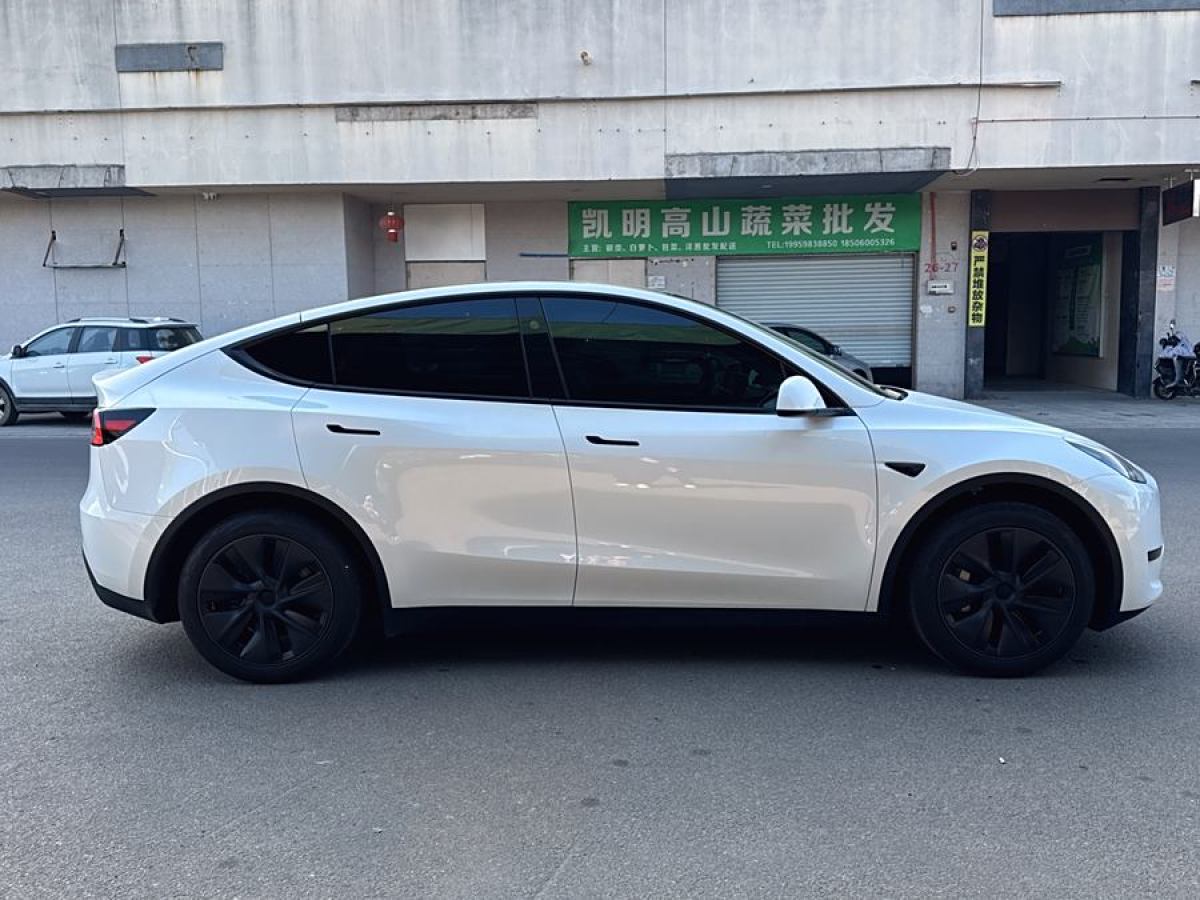 特斯拉 Model 3  2020款 改款 長續(xù)航后輪驅(qū)動(dòng)版圖片