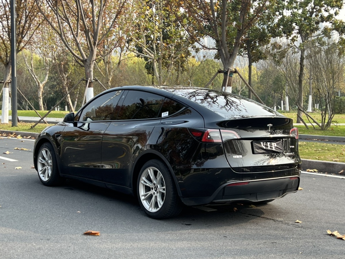 特斯拉 Model Y  2021款 標(biāo)準(zhǔn)續(xù)航后驅(qū)版圖片