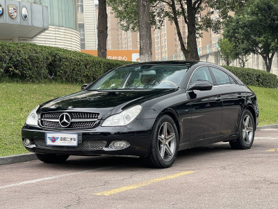 2010年9月 奔驰 奔驰CLS级(进口) 改款 CLS 300 动感型图片