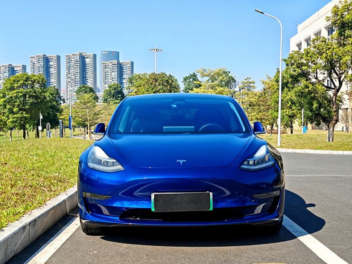 特斯拉 Model 3  2020款 改款 長續(xù)航后輪驅(qū)動版圖片