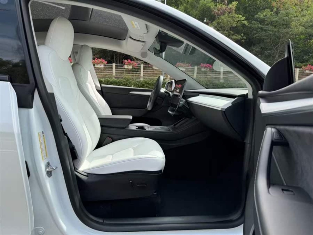 特斯拉 Model Y  2021款 Performance高性能全輪驅(qū)動(dòng)版圖片