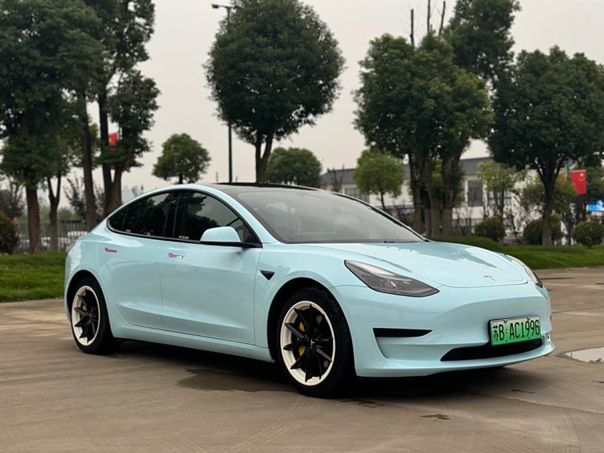 2021年2月特斯拉 Model Y  2021款 改款 標(biāo)準(zhǔn)續(xù)航后驅(qū)升級版