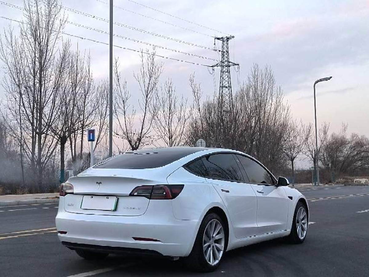 特斯拉 Model 3  2021款 改款 標(biāo)準(zhǔn)續(xù)航后驅(qū)升級(jí)版圖片