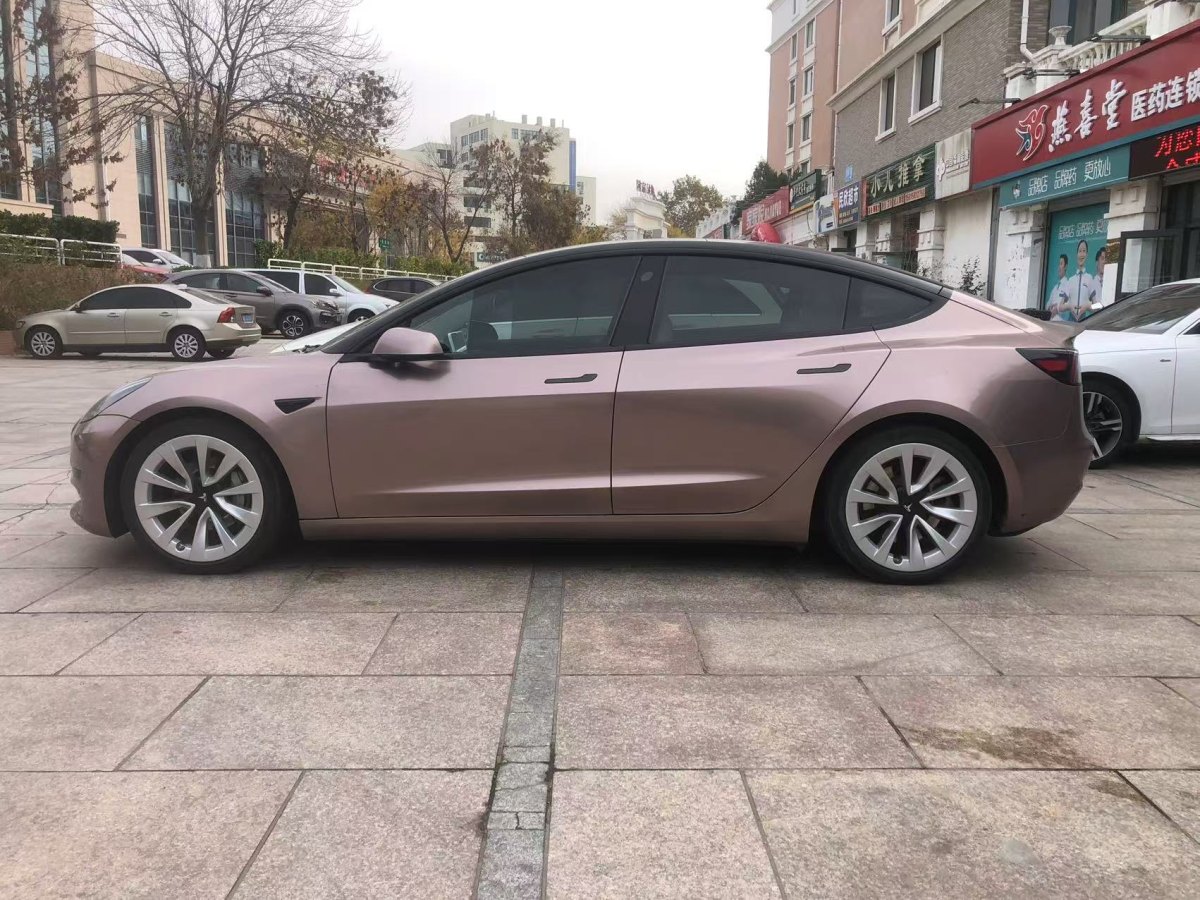 特斯拉 Model 3  2019款 標(biāo)準(zhǔn)續(xù)航后驅(qū)升級版圖片