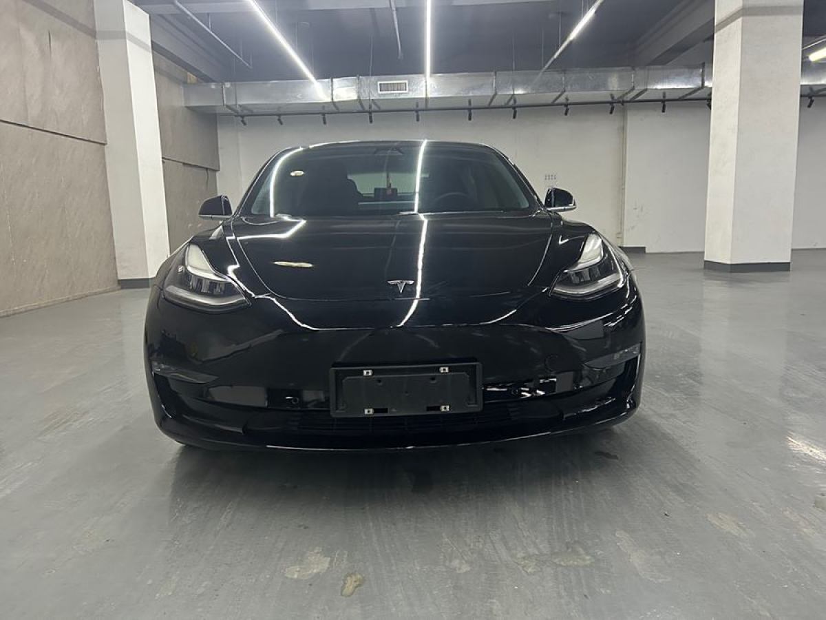 特斯拉 Model 3  2019款 長(zhǎng)續(xù)航后驅(qū)版圖片