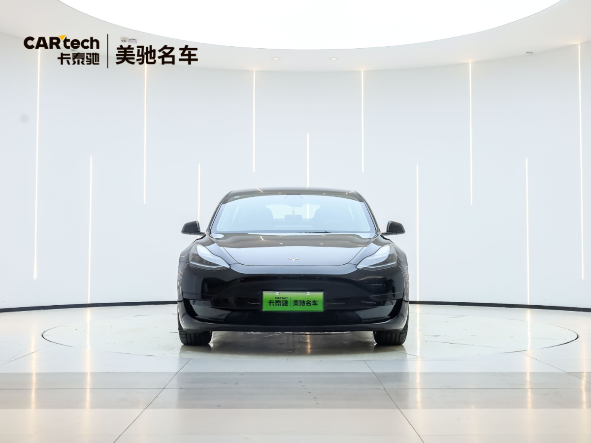 特斯拉 Model 3  2019款 標(biāo)準(zhǔn)續(xù)航后驅(qū)升級(jí)版圖片