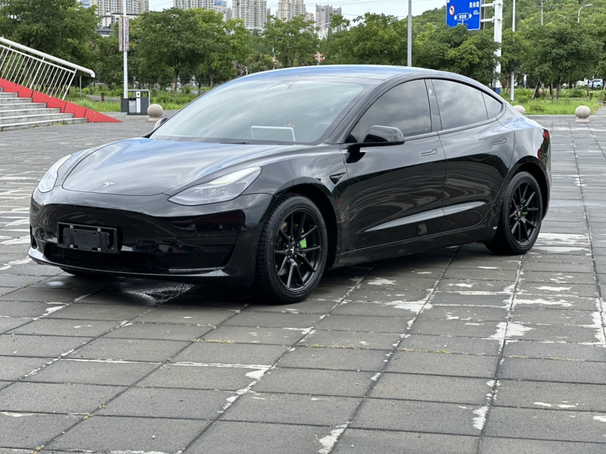 特斯拉 Model 3  2019款 標(biāo)準(zhǔn)續(xù)航后驅(qū)升級(jí)版圖片