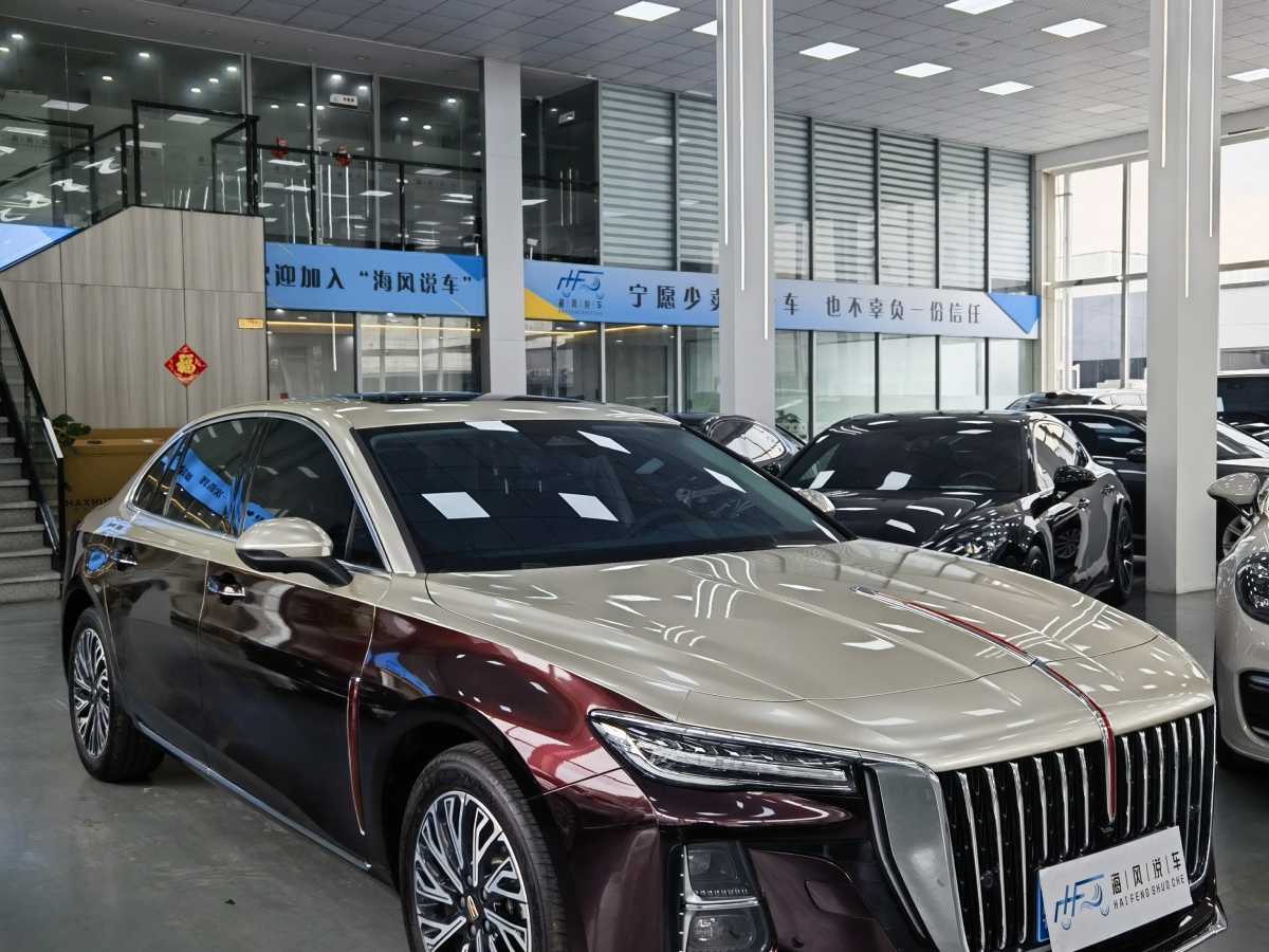 2025年1月紅旗 H5  2025款 2.0T 自動旗暢50萬輛紀(jì)念版