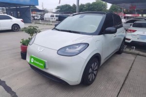 五菱繽果 五菱 333km 靈犀互聯(lián)+款