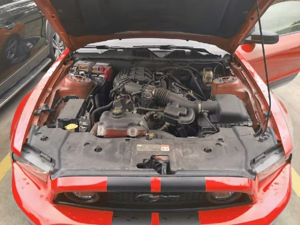 福特 Mustang  2013款 3.7L 自動(dòng)標(biāo)準(zhǔn)型圖片