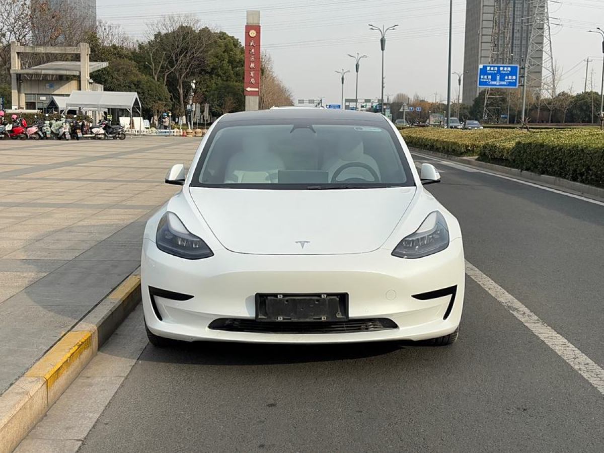 特斯拉 Model 3  2021款 標(biāo)準(zhǔn)續(xù)航后驅(qū)升級版 3D6圖片