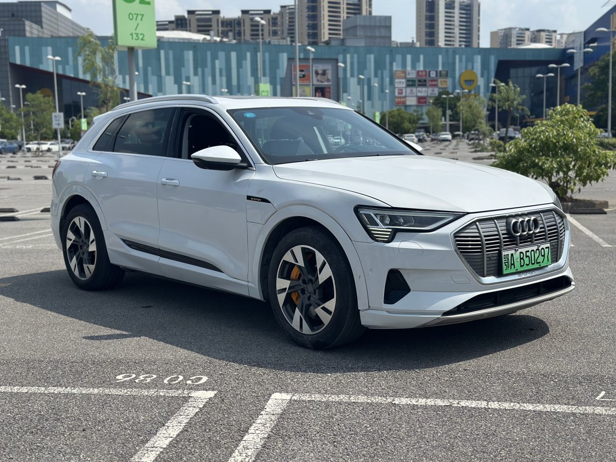 奧迪 奧迪e-tron  2019款 55 quattro 專享型圖片