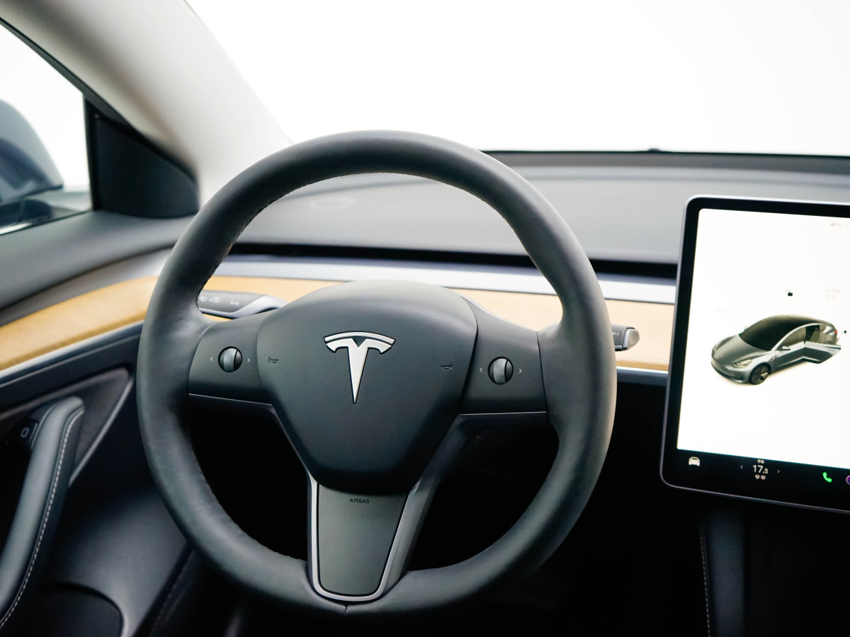 2021年4月特斯拉 Model 3  2021款 改款 標(biāo)準(zhǔn)續(xù)航后驅(qū)升級(jí)版