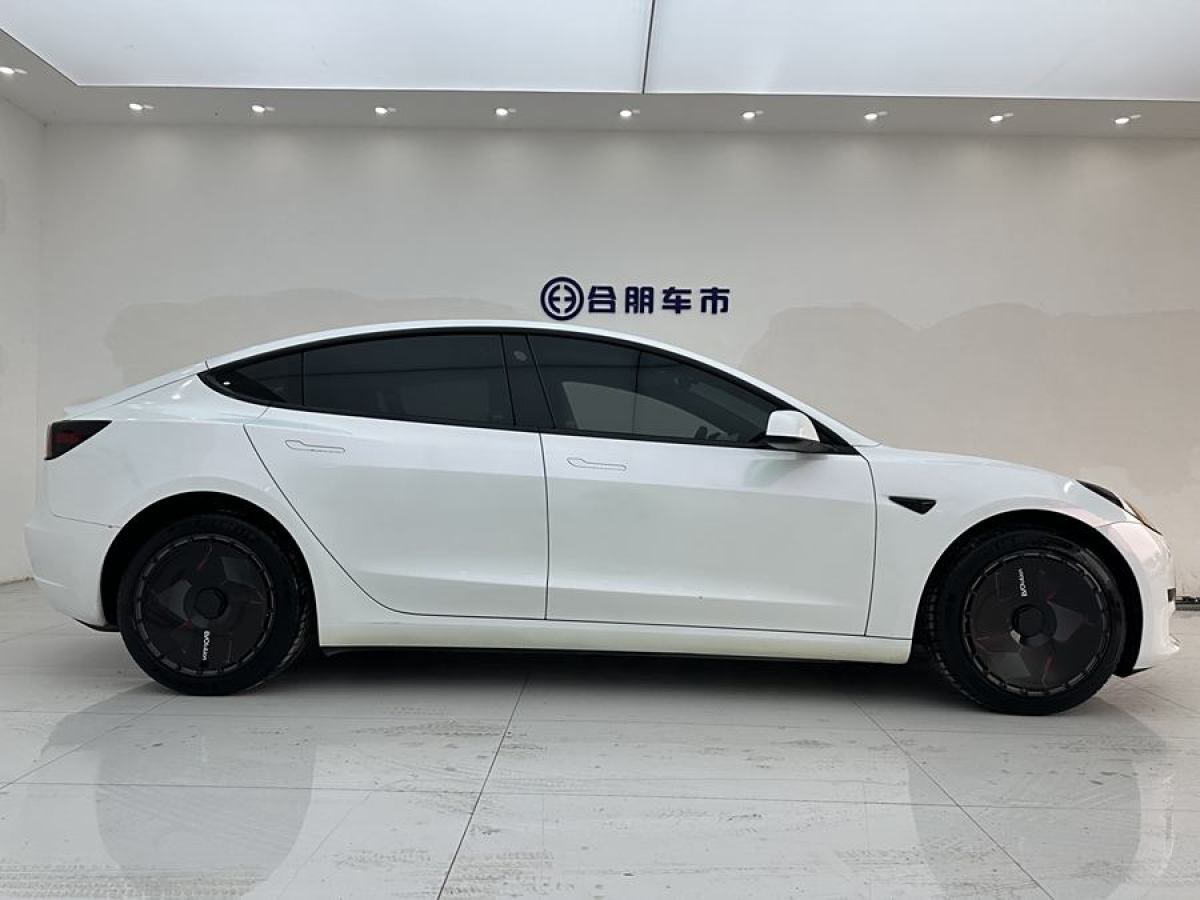 特斯拉 Model 3  2021款 改款 標(biāo)準(zhǔn)續(xù)航后驅(qū)升級(jí)版圖片