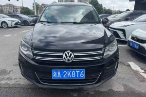 途觀 大眾 1.8 TSI 30周年紀(jì)念版