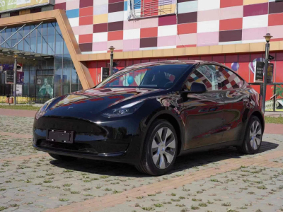 2022年6月 特斯拉 model y 圖片