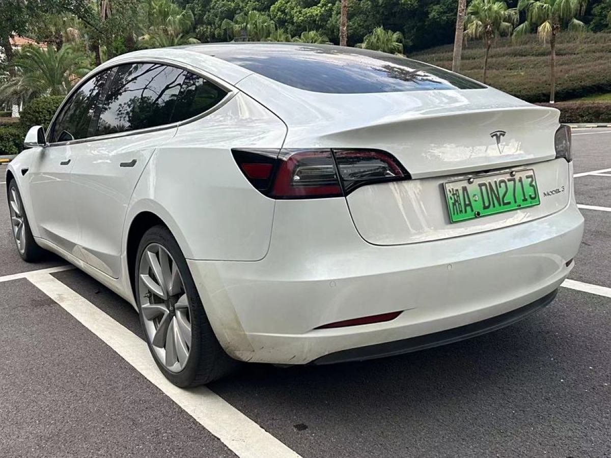 特斯拉 Model 3  2020款 改款 長續(xù)航后輪驅(qū)動(dòng)版圖片