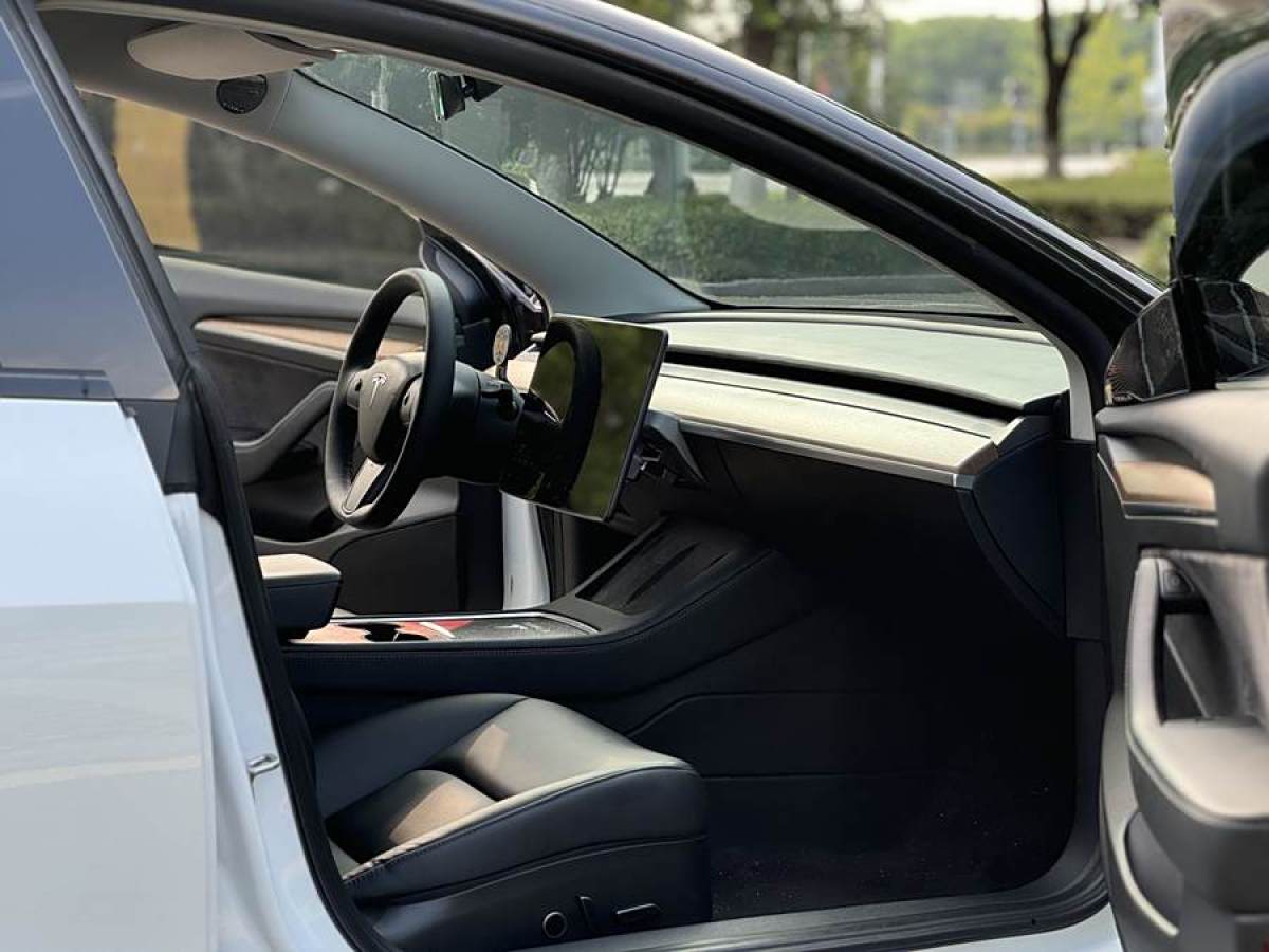 特斯拉 Model 3  2019款 標(biāo)準(zhǔn)續(xù)航后驅(qū)升級版圖片