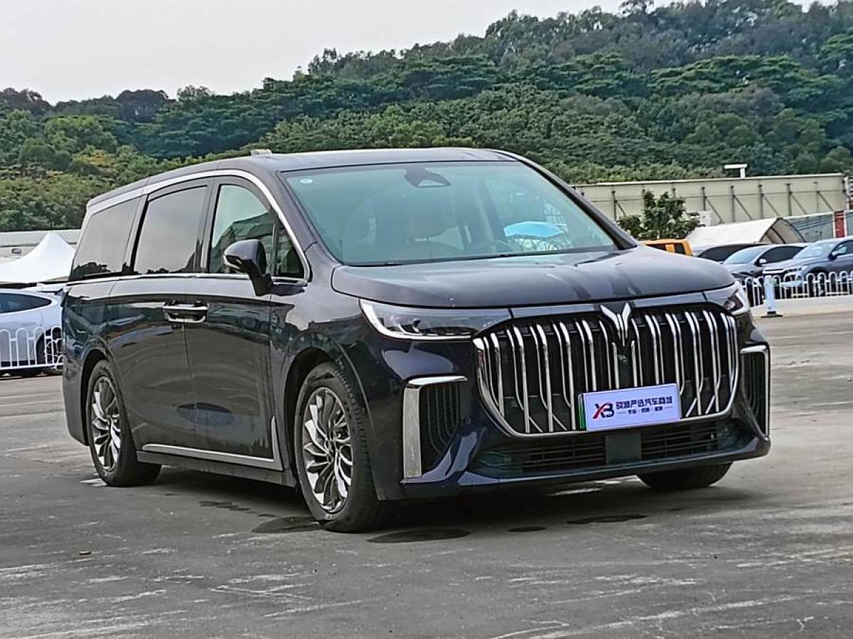 嵐圖 夢想家  2024款 PHEV 超長續(xù)航旗艦版圖片