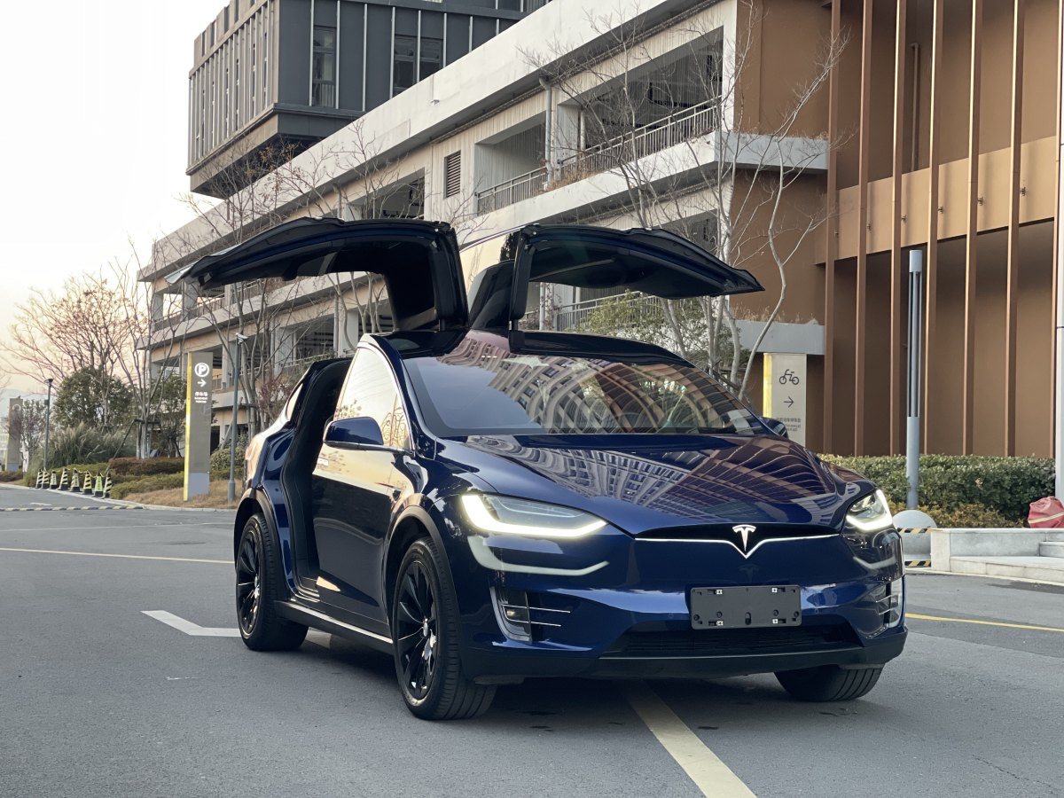 特斯拉 Model X  2017款 Model X 100D 長續(xù)航版圖片