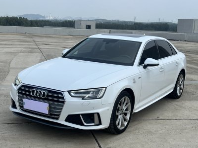 2019年4月 奥迪 奥迪A4L 30周年年型 40 TFSI 时尚型图片