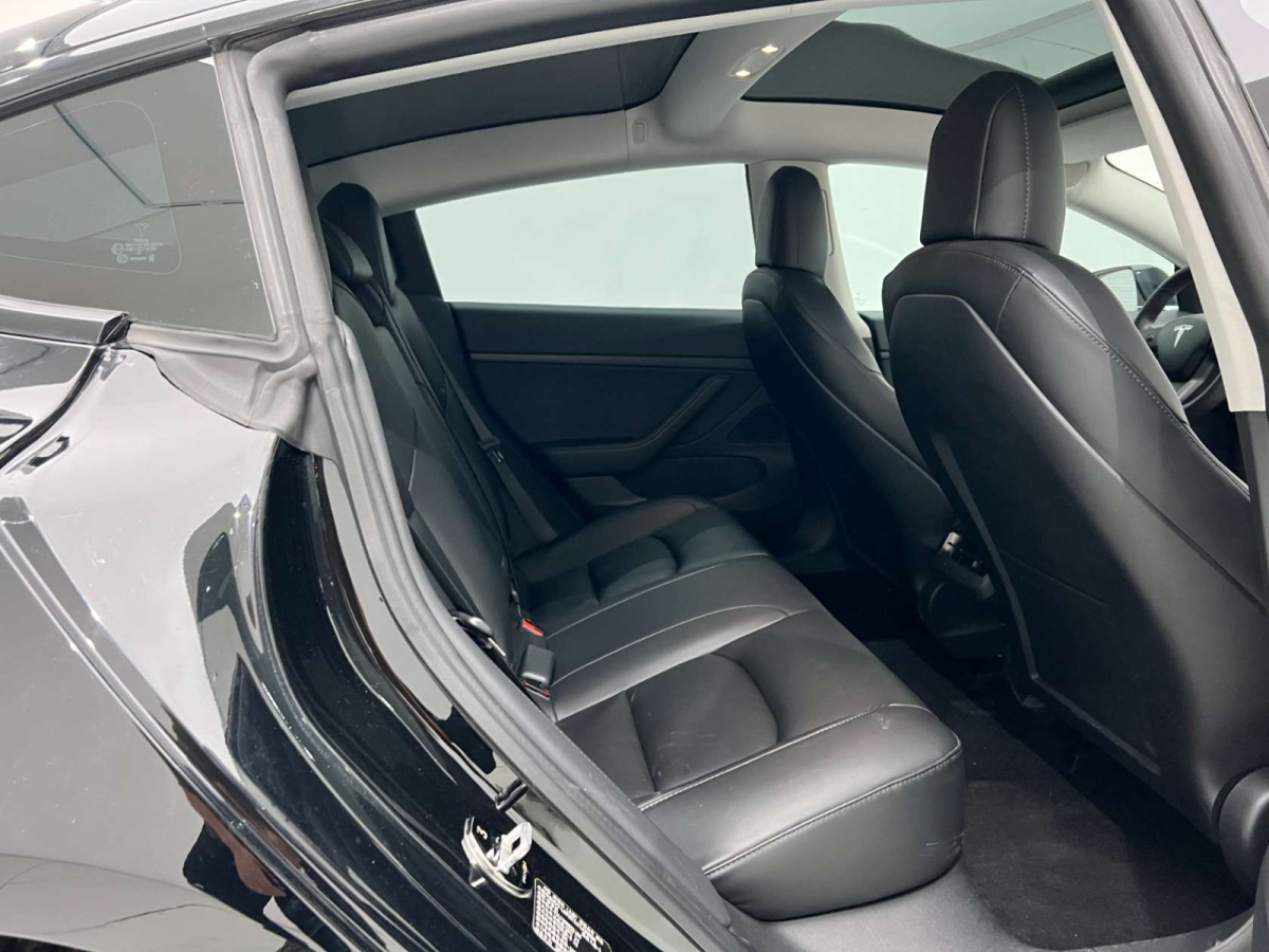 特斯拉 Model 3  2019款 標(biāo)準(zhǔn)續(xù)航后驅(qū)升級版圖片
