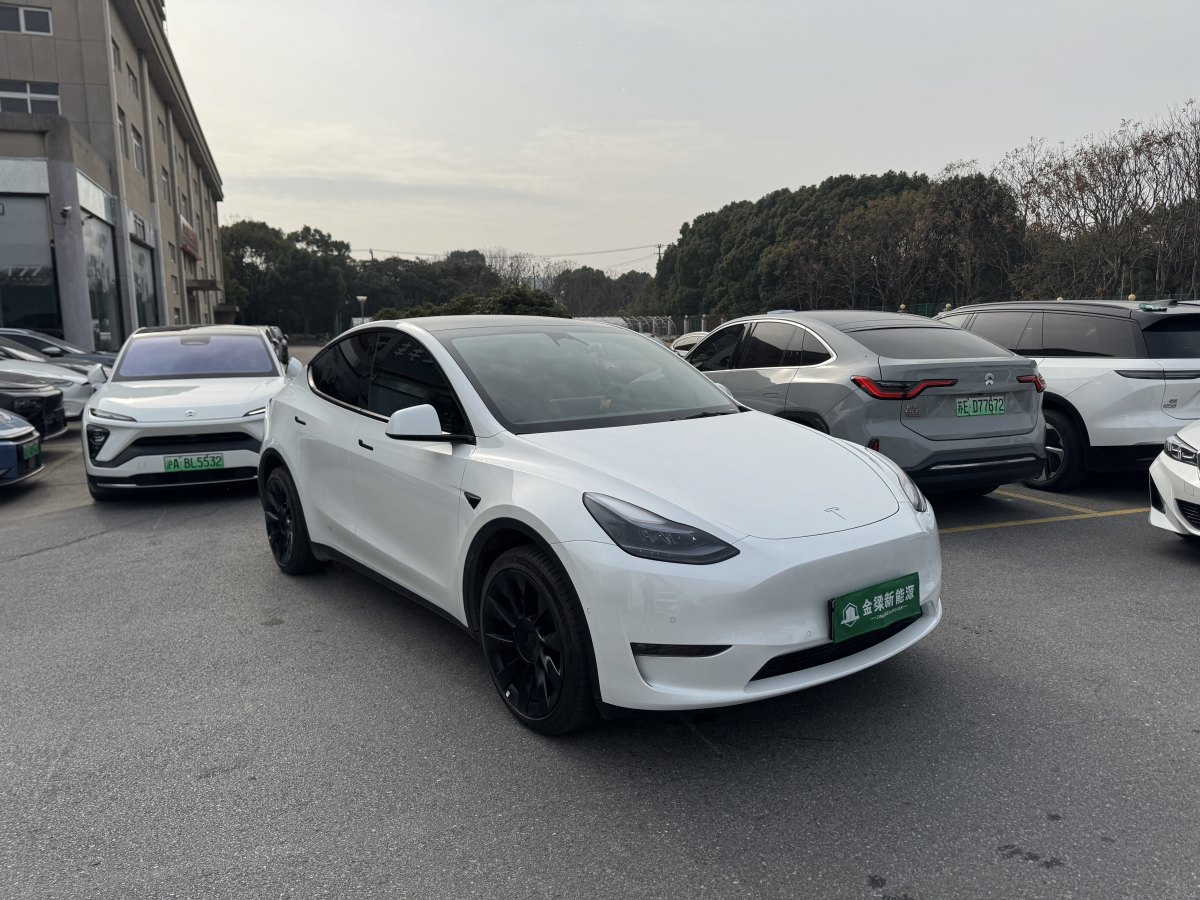 特斯拉 Model 3  2021款 改款 Performance高性能全輪驅(qū)動版圖片