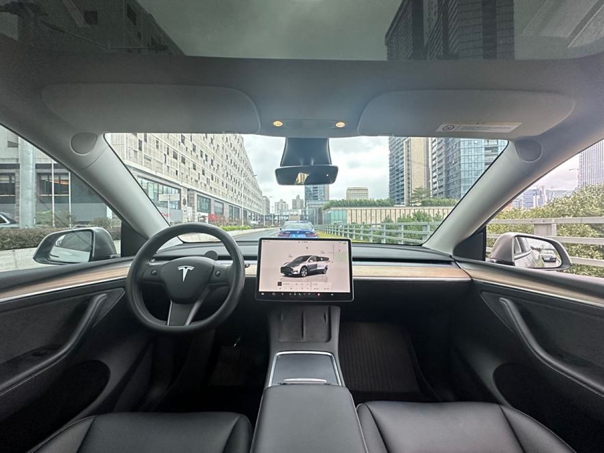 特斯拉 Model 3  2020款 改款 長續(xù)航后輪驅動版圖片