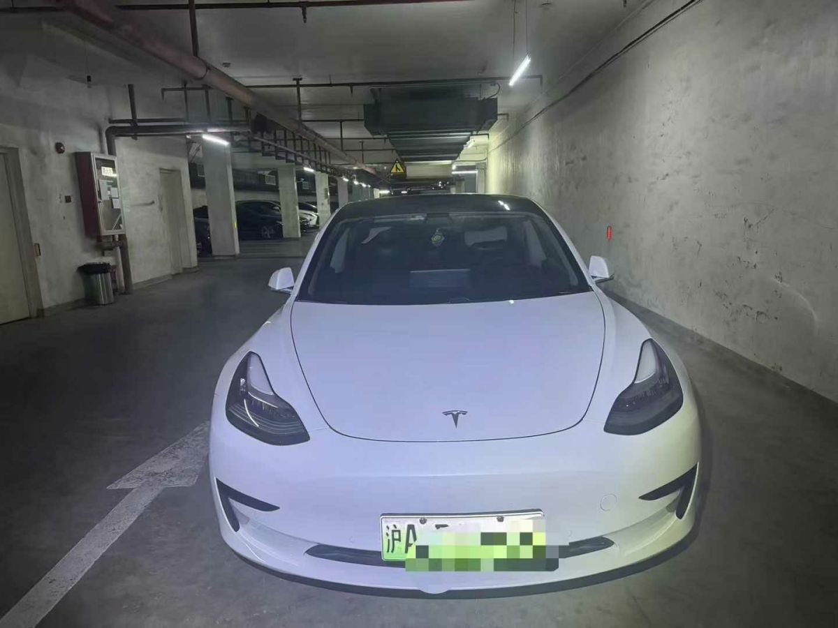 特斯拉 Model 3  2020款 標(biāo)準(zhǔn)續(xù)航后驅(qū)升級版圖片