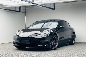 Model 3 特斯拉 Performance高性能全輪驅(qū)動版