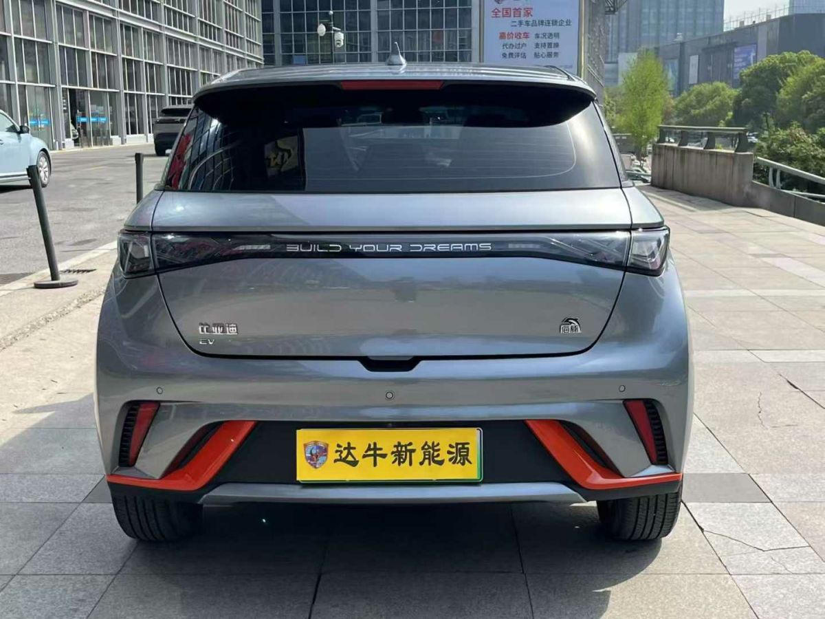 比亞迪 海豚  2023款 401km 騎士版圖片