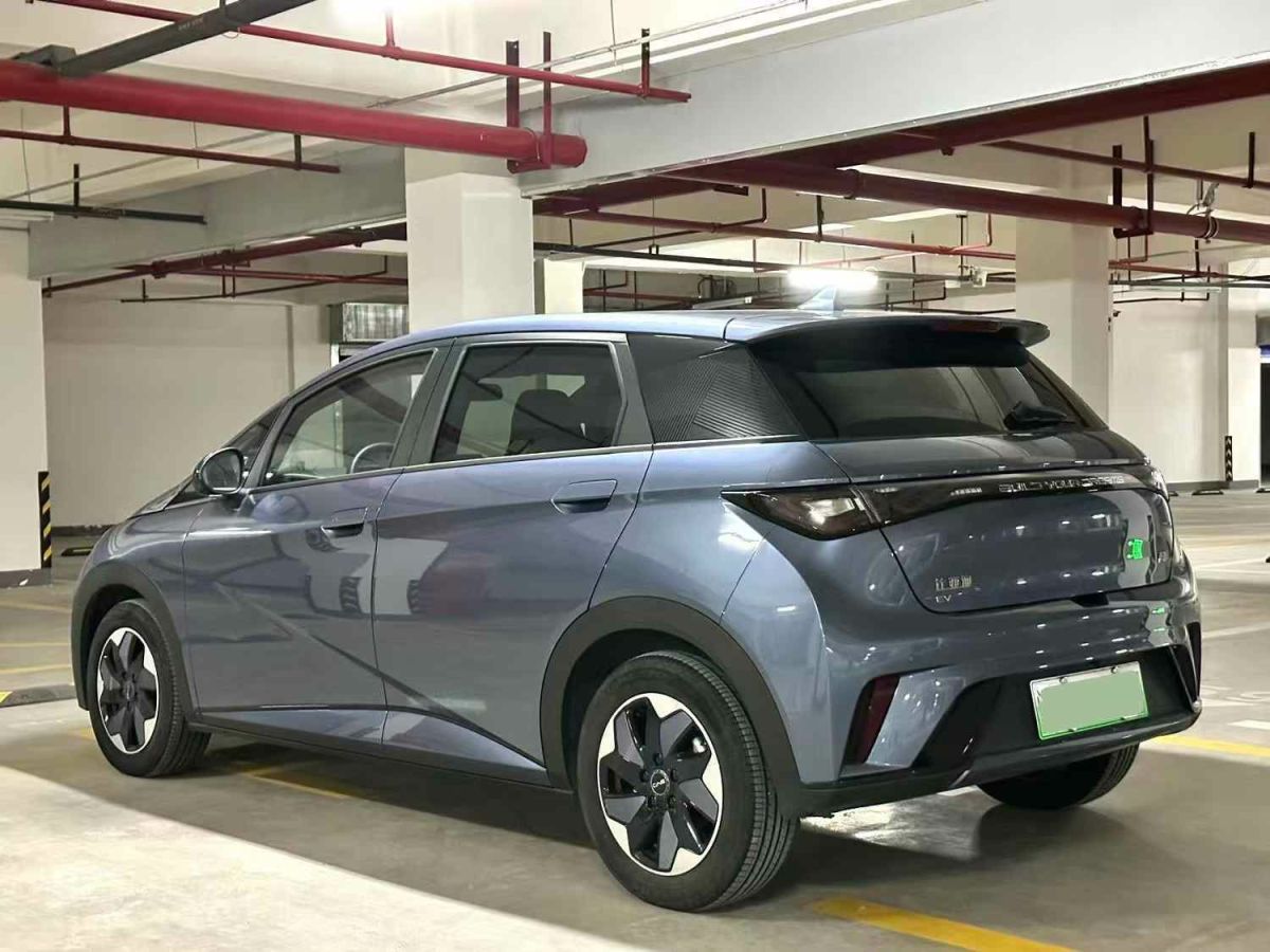 比亞迪 海豚  2024款 榮耀版 302km 活力版圖片