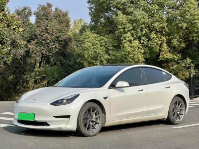 2021年12月 特斯拉 Model 3 標(biāo)準(zhǔn)續(xù)航后驅(qū)升級版 3D6圖片