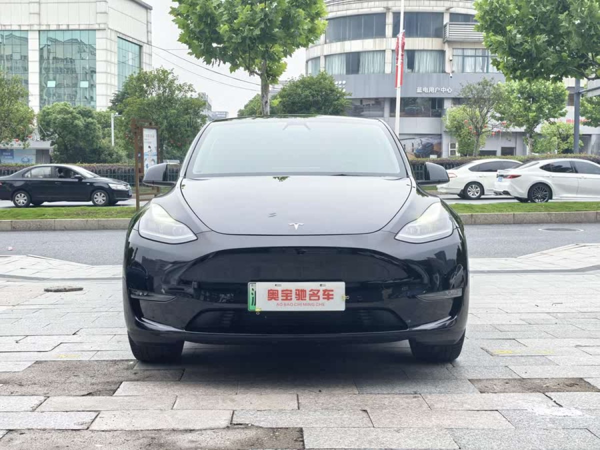 特斯拉 Model Y  2021款 標準續(xù)航后驅(qū)版圖片
