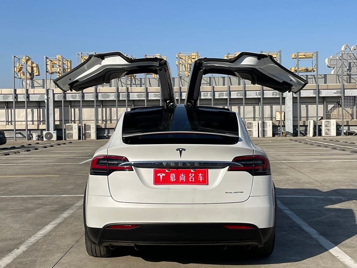 特斯拉 Model X  2019款 長續(xù)航版圖片