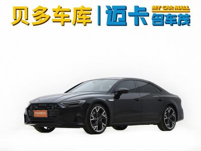 2023年7月 奧迪 奧迪A7L 45 TFSI quattro S-line 黑武士版圖片