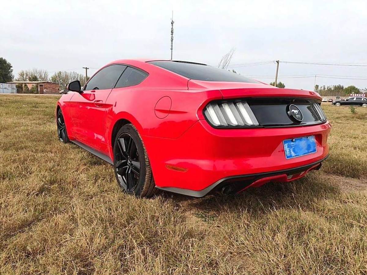 福特 Mustang  2015款 2.3T 性能版圖片