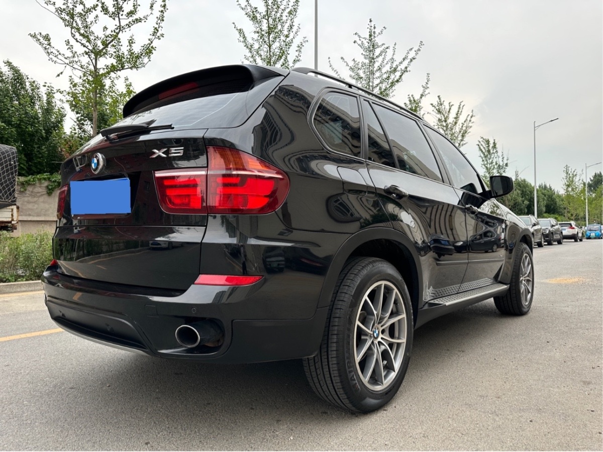 寶馬 寶馬X5  2011款 xDrive35i 領(lǐng)先型圖片