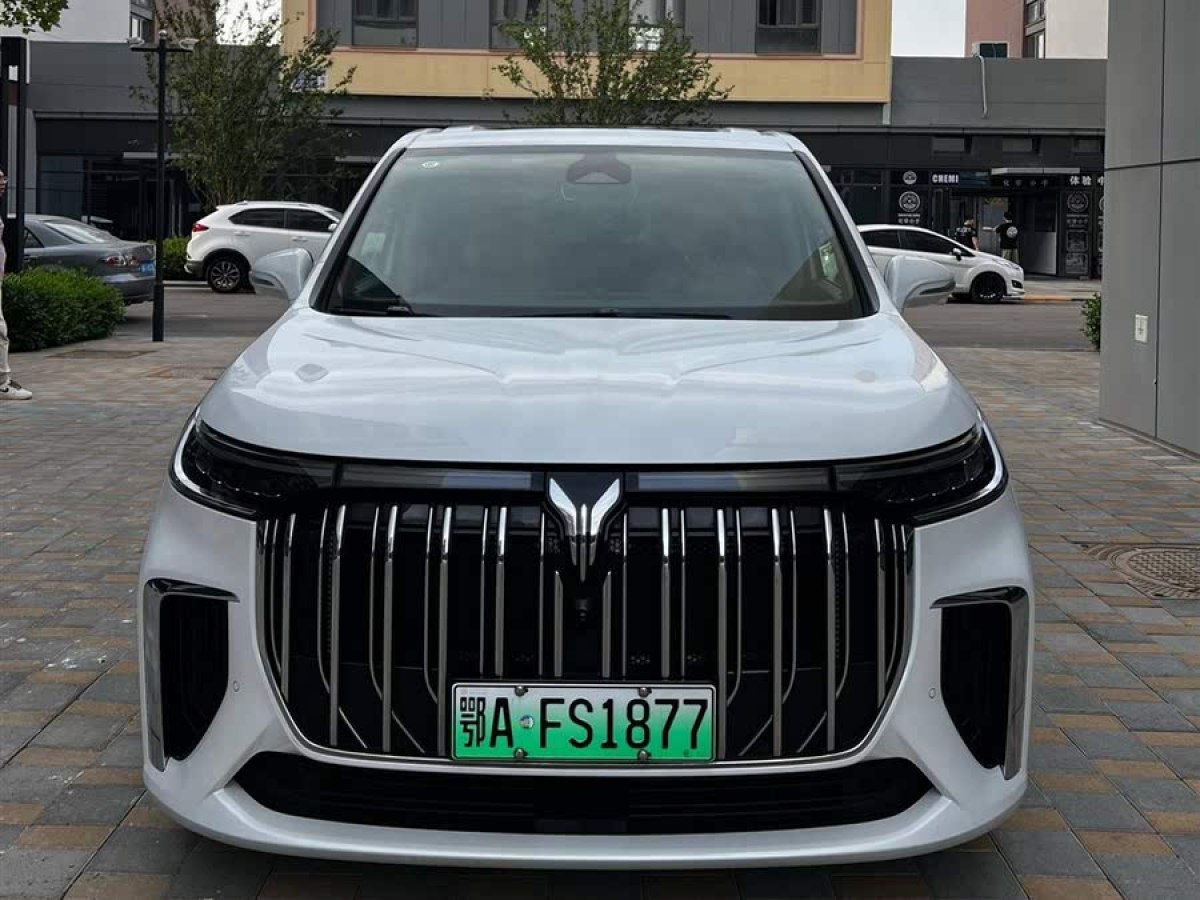 嵐圖 夢(mèng)想家  2024款 PHEV 超長續(xù)航旗艦版圖片