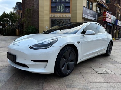 2020年12月 特斯拉 Model 3 長續(xù)航后輪驅(qū)動版圖片