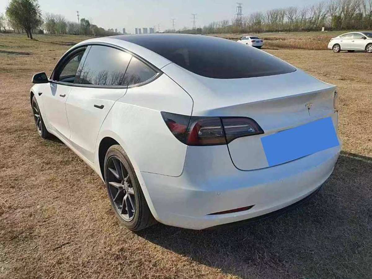 特斯拉 Model 3  2021款 改款 標(biāo)準(zhǔn)續(xù)航后驅(qū)升級(jí)版圖片