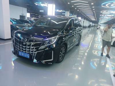 2021年6月 廣汽傳祺 M8 領(lǐng)秀系列 390T 尊享版圖片