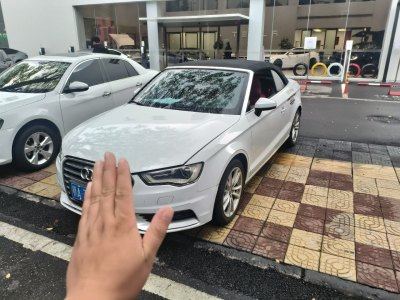 2017年4月 奧迪 奧迪A3(進口) Cabriolet 40 TFSI圖片