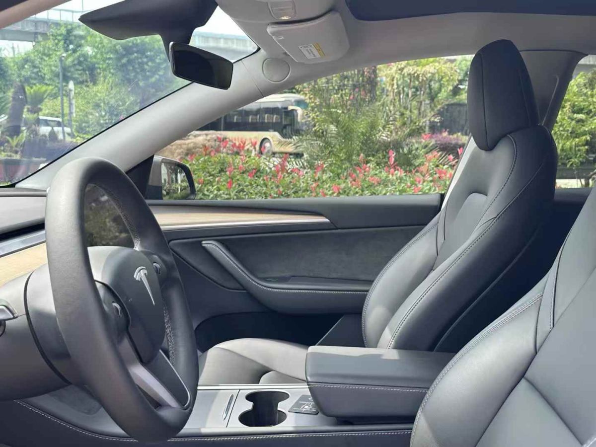 特斯拉 Model Y  2022款 Performance高性能全輪驅(qū)動(dòng)版圖片