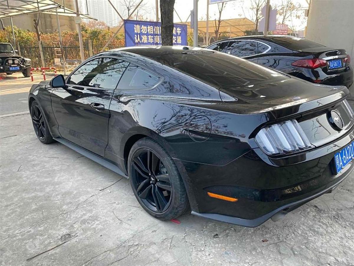 福特 Mustang  2015款 2.3T 性能版圖片