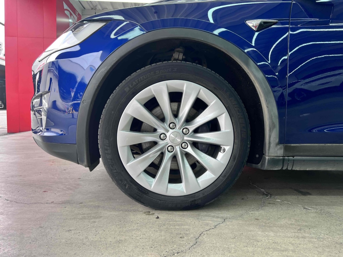 特斯拉 Model X  2019款 長續(xù)航版圖片