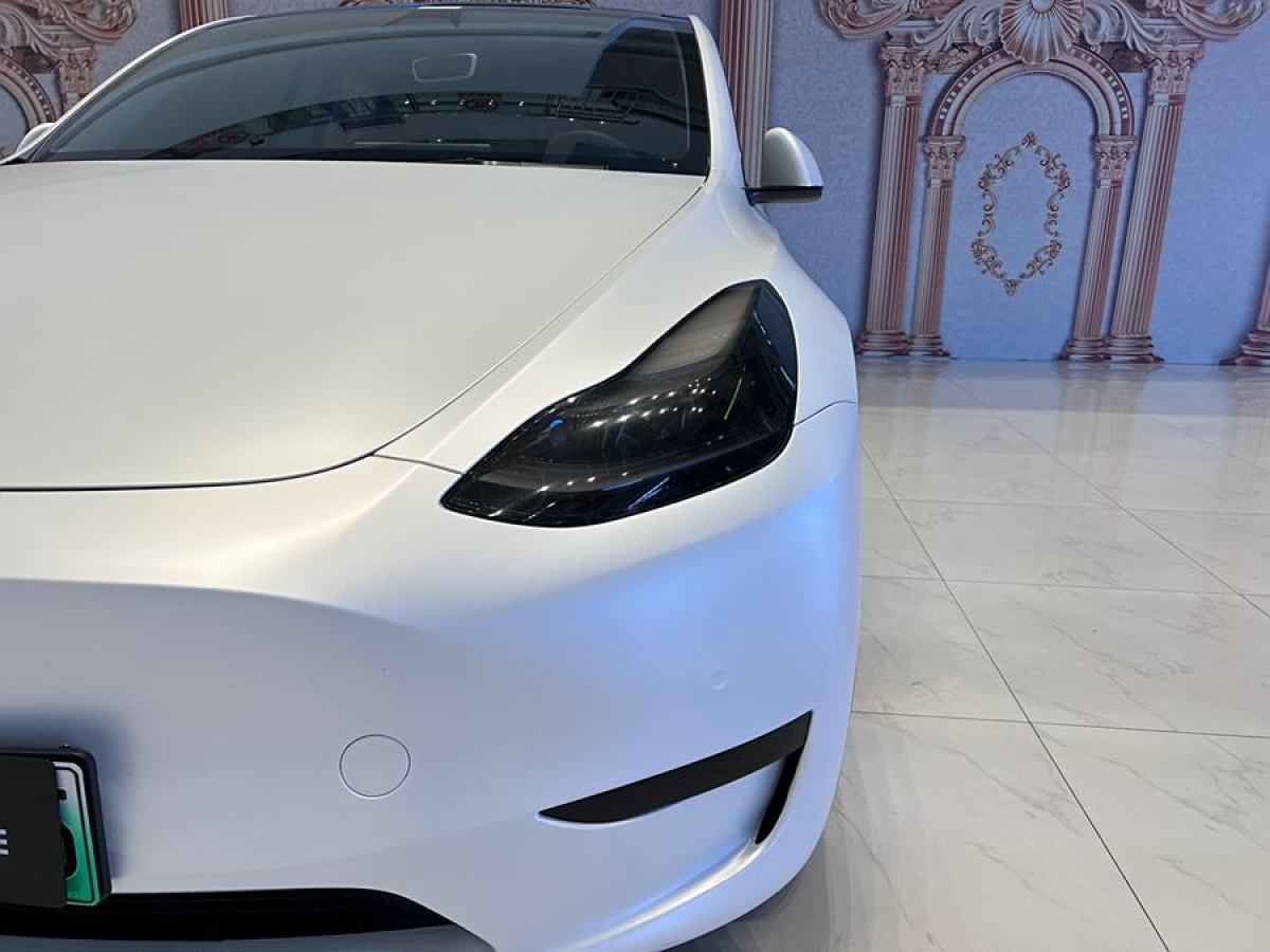 特斯拉 Model 3  2020款 改款 長(zhǎng)續(xù)航后輪驅(qū)動(dòng)版圖片