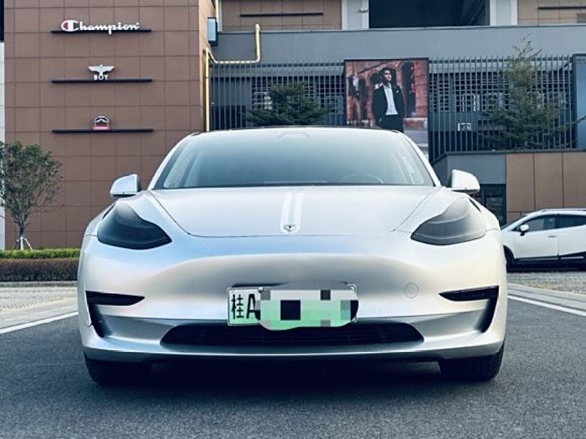 特斯拉 Model 3  2020款 改款 標(biāo)準(zhǔn)續(xù)航后驅(qū)升級版圖片